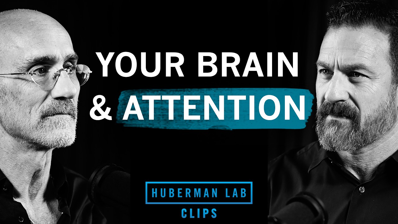 Why Your Brain Treats Attention Like a Drug | Dr. Arthur Brooks & Dr. Andrew Huberman