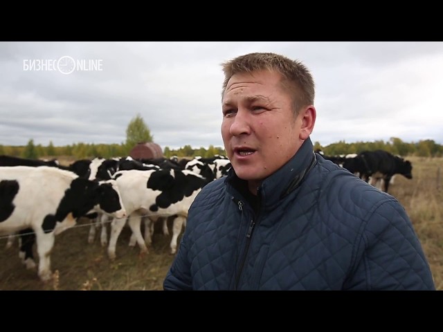 История простого фермера из Рыбно-Слободского района, который рискнул создать КФХ «хозспособом» с нуля и не проиграл 