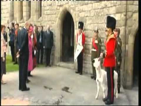 Mock the week Royalty Castle visit