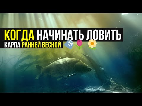 Второе видео Второе видео