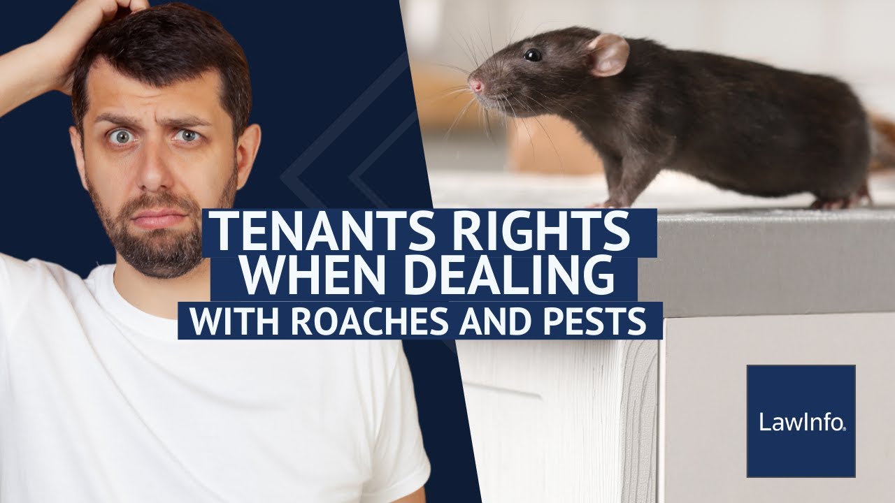 Tenants' Rights When Dealing With Roaches and Pests | LawInfo