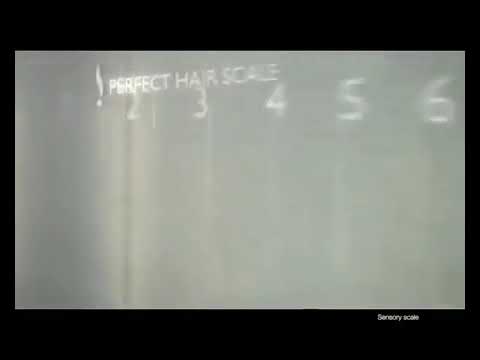 New Sunsilk Clean & Fresh Conditioner TV Commercial