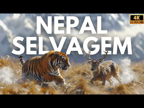 NEPAL - Wild Kingdom of the Himalayas | Full Documentary