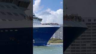 Celebrity Reflection 🛳️ #like #share #comment #subscribe #youtubeshorts #cruise #travel #shorts #yt