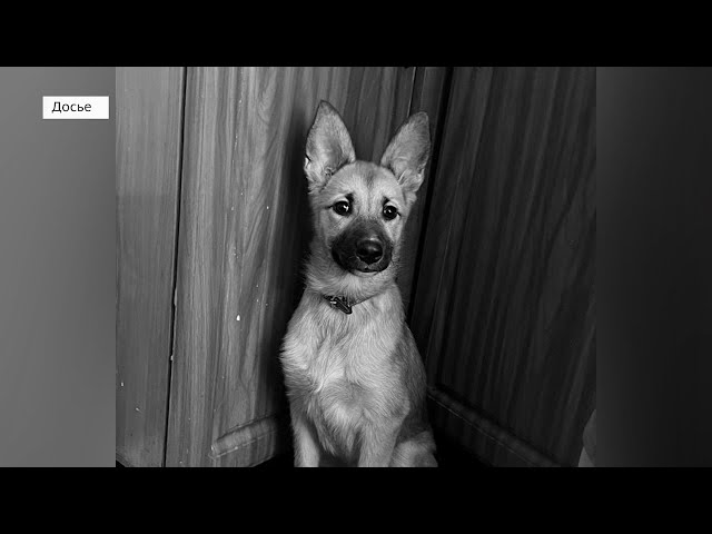 Зло должно быть наказано!