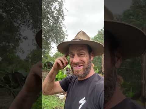 Hurricane Recovery & RV Prep: Kamp Kenan's Storm Damage Guide