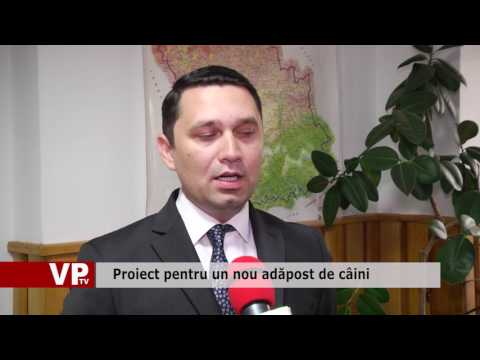 Proiect pentru un nou adăpost de câini