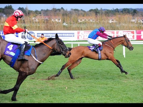 Kaiser Black set for spring festivals after career best second in Flogas Novice Chase