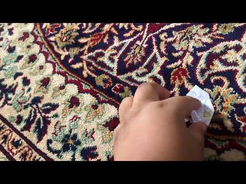 Angry birds toons Epic sax off