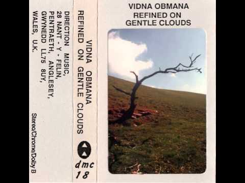 Vidna Obmana - Nearly Constant