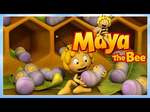Maya the bee - Episode 22 - Flying License