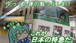 ゆっくり達の暇つぶし#17　電車でGO!プロフェッショナル仕様を実況してみた。さらば185系特急踊り子号【ラストラン】