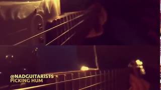 Dan &amp; Marie - Picking Hum Cover By Two Guitars