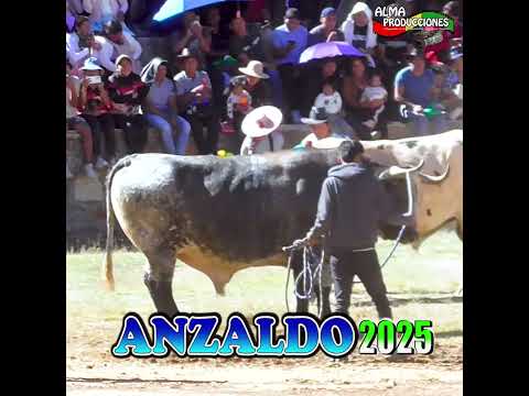 ANZALDO 2025- Toro Tinku, Encuentro "Aguila -Tigre Jr."#shortsviral  #almaproduccionesbolivia #alma