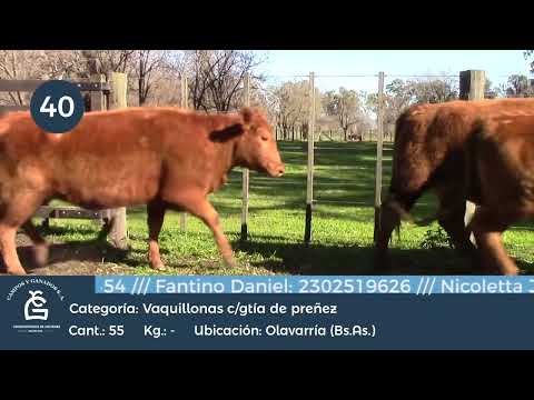 Lote Vq CGP - Olavarría Bs As