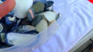 "As I Roved Out" Fan Video