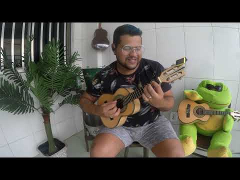Te perdoei Antes - Binho Simões ( Cavaco e Improvisações )