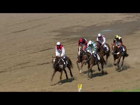 8. 8. 2020 - 6.dostih - Cena firmy Chládek a Tintěra, Pardubice a.s. – III. kval. na 130. Vp se Sp