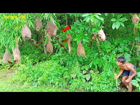 Survival in the rain forest Building Birds nest || Life in jongle 😱😱|| Mr bad boys