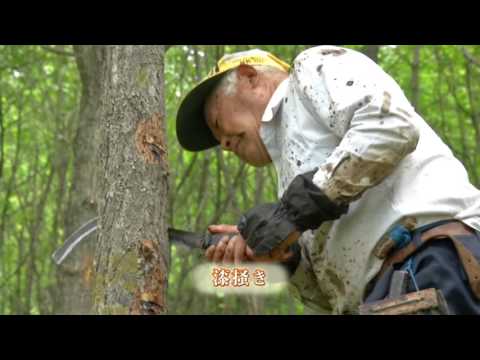 岩手観光動画：歴史ある伝統文化と癒しの旅　岩手県・県北部をめぐる