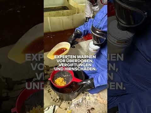 MEGA-DROGENLABOR IN BRANDENBURG: 400 Kilo Rauschgift, Millionenwert, zwei Festnahmen #shorts
