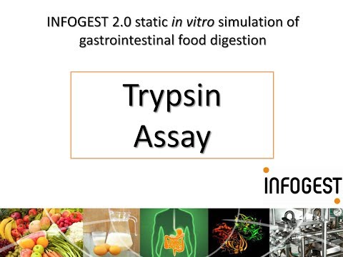 Trypsin Activity Assay for the INFOGEST 2.0 Method for Food (2019 update in Nature Protocols)