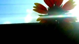 Gia - If I Fell (Cover)