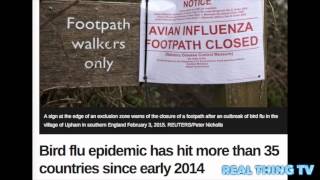 Bird flu epidemic has hit more than 35 countries