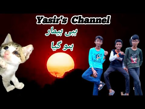 #babbibemaarhogia@yasir'schannel #kittenvideo  #funnyvlog #youtubevirals #vlog4u #viralvlog #1mviral