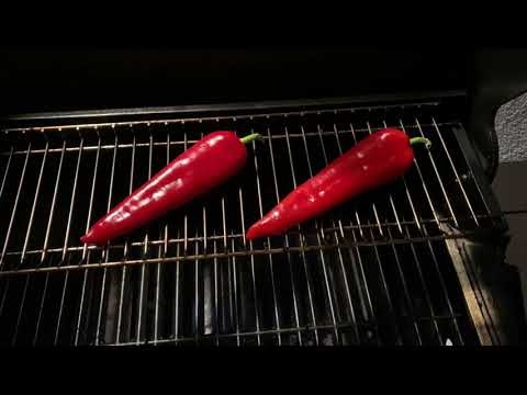 Grillpaprika Leckere Beilage schnell einfach lecker grillen