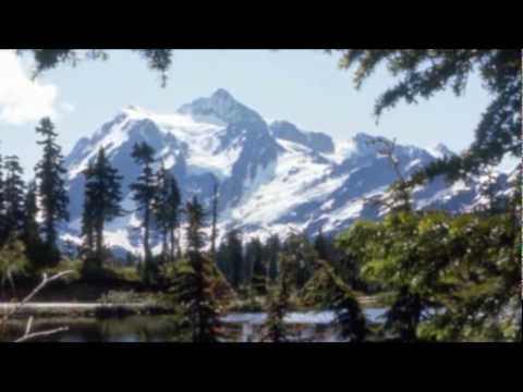 Will I See You In Heaven - Jayhawks