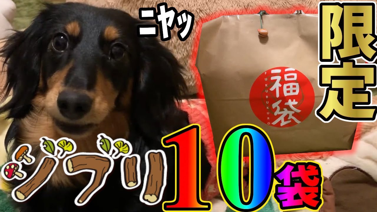 笑う犬と18,000円で25,000円分のお得福袋開封してみたら意外なお得なもの入ってたｗｗｗ