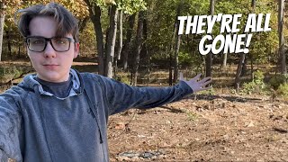 They’re all gone!!!