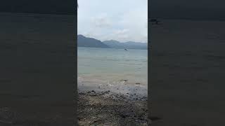 Download lagu The Determination of Indonesian Santri | A Special Gift for Santri Day 2025 mp3