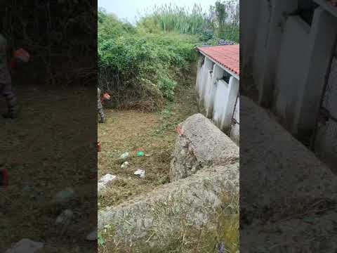 Limpeza Fonte da Lapa - Casconha 