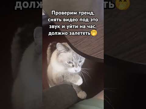 Ждём просмотры и подписки😌