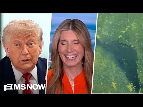 'Perfect metaphor for the second Trump term': Nicolle on Trump's DECREPIT Reflecting Pool renovation
