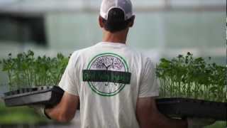 preview picture of video 'Sweet Valley Organics Farm Intro'
