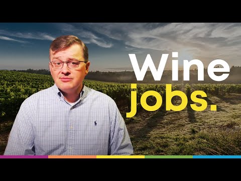 How to get a job in wine with the WSET Level 1