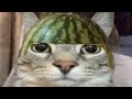 Chezile Beanie Instrumental Sped Up
