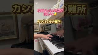 Download lagu リスト カンパネラの難しい所 #piano #クラシック #弾いてみた mp3 Download lagu リスト カンパネラの難しい所 #piano #クラシック #弾いてみた mp3