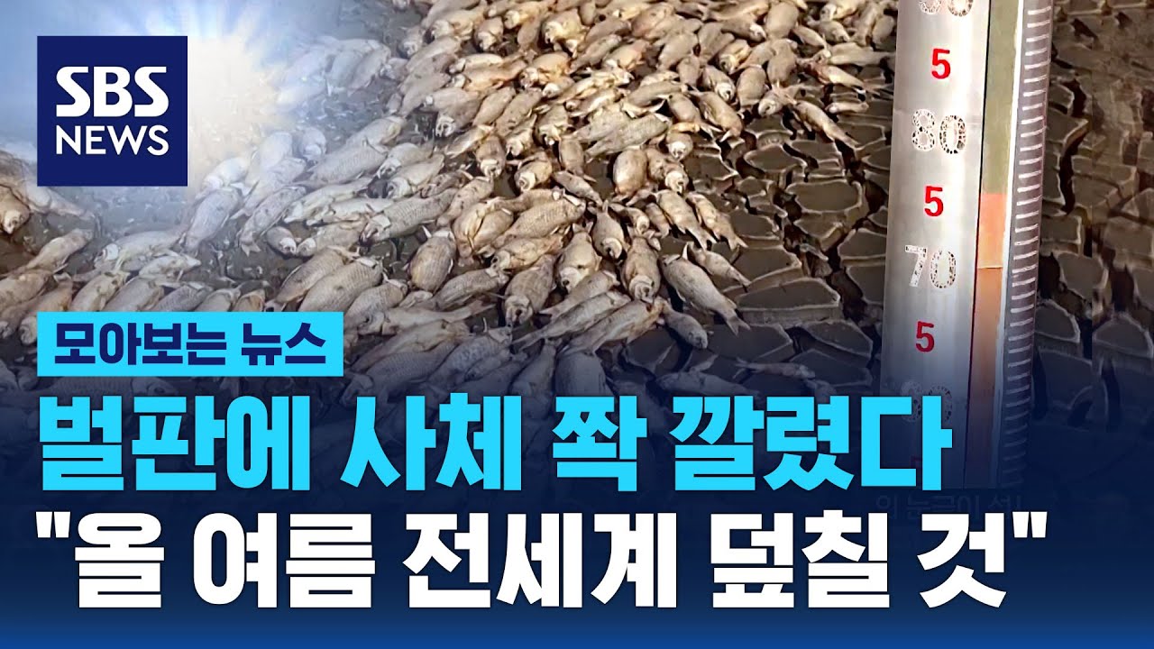 벌판에 사체 쫙 깔렸다…"올 여름 전세계 덮칠 것"