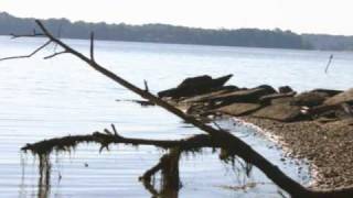 Catherine Wheel - Girl Stand Still