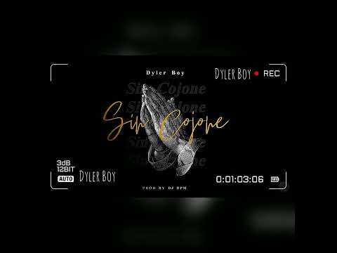 Dyler Boy - Sin Cojone (Official Audio Music)