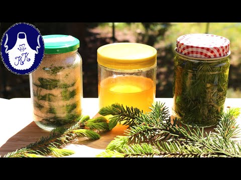 Tannensirup / Fichtenhonig selber herstellen, ist noch nicht zu spät / Heilkraft der Nadelbäume