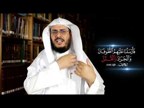 برنامج غريب القرآن | الحلقة 207 | قوله تعالى: ‏﴿‏فَأَرْسَلْنَا عَلَيْهِمُ ‌الطُّوفَانَ ‌وَالْجَرَادَ وَالْقُمَّلَ﴾ [الأعراف: 133].