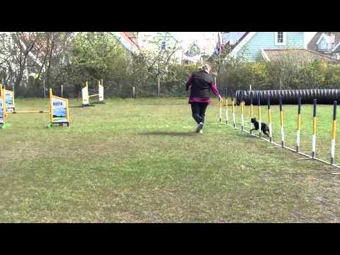 2012-04-22 's-Gravenzande Karlijn met Zilla B1-Medium