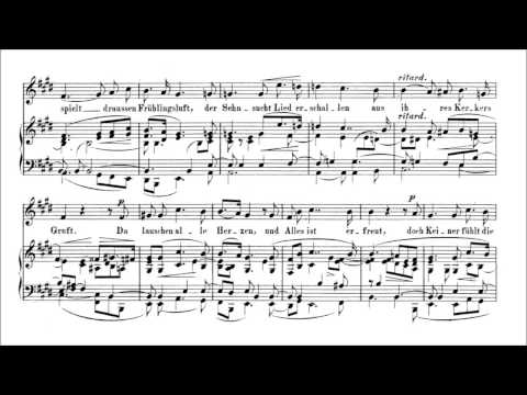 Robert Schumann - Liederkreis, op. 39 [With score]