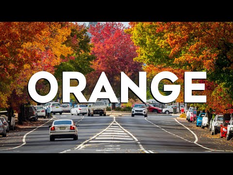 Top 10 Best Things to Do in Orange, France [Orange Travel Guide 2024]
