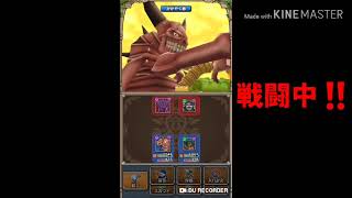 【テリワン生声実況】まぼろしの扉-黄金郷-入手魔物とは⁉️part26